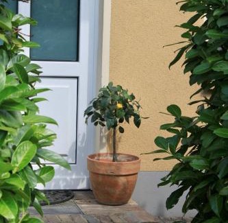 Rangsdorf Apartment | SEEBADHOF - Landhaus Kaiser