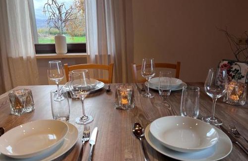 Reichenau Apartment | seeglueck SEENSUCHT - Ferienhaus mit teilweiser Seesicht großer Terrasse Parkplatz und Seenähe auf der Insel Reichenau bei Konstanz