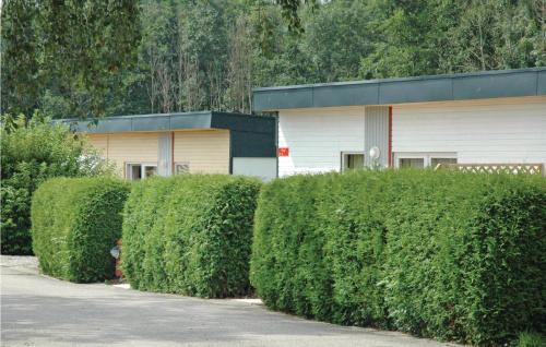 Heringsdorf House | Seeigel