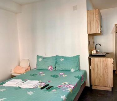 Kragujevac Apartment | Selena