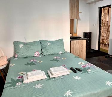 Kragujevac Apartment | Selena