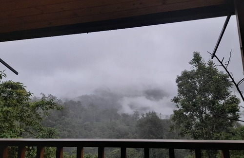 Mindo Cabin | Sendero de las aves