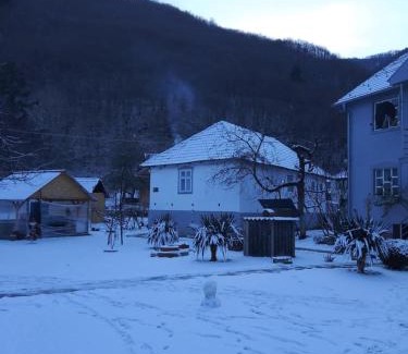 Central Serbia Apartment | Seosko turisticko domacinstvo Milanovic