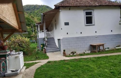 Central Serbia Apartment | Seosko turisticko domacinstvo Milanovic