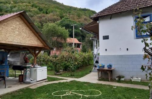 Central Serbia Apartment | Seosko turisticko domacinstvo Milanovic