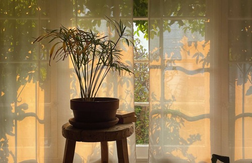 Mid-Wilshire Apartment | Serene 1-bedroom apartment in the heart of Los Angeles