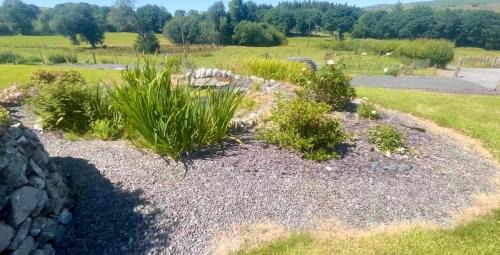 Tregaron House | Serene Golygfar Cottage Retreat in Ystrad Meurig