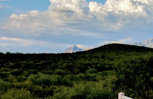 Rio Rico House | Serenity in Sunny Arizona with tons of birds and shade trees! Bike Trail Galore