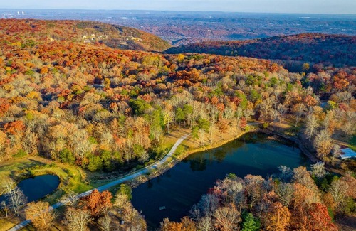 Signal Mountain Cabin | Serenity`s Cabin | 100 y/o Cabin in the Mtns| Walking trails + Ponds