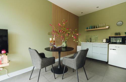 Haarlem Bed & Breakfast | Sfeervol luxe appartement Haarlemmerhout bij Haarlem Centrum en Amsterdam - gratis parkeren