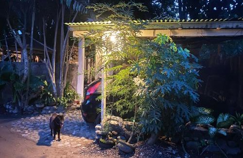 Sanur Kauh House | Shady Grove Healing Centre & Homestay w house rules please read before booking
