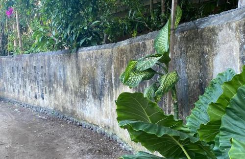 Sanur Kauh House | Shady Grove Healing Centre & Homestay w house rules please read before booking