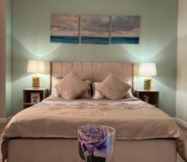 Sheikh Zayed City Apartment | Shaikh Zayed Hotel Apartment