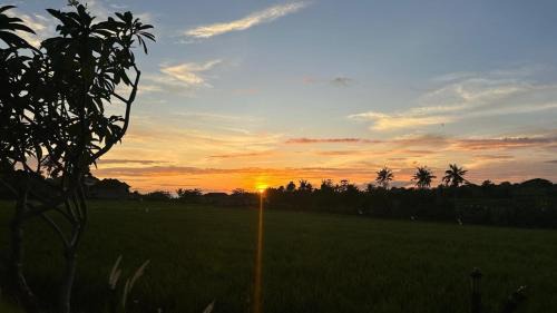 Tabanan Hotel | Shanti Boutique Retreat