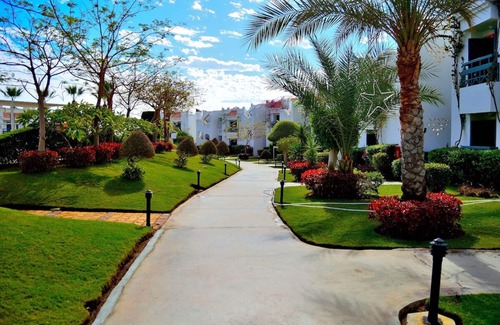 Sharm El Sheikh Hotel | Sharm El Sheikh Adventure Begins in Comfortable Family Room with Outdoor Pool