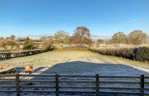 Forsbrook House | Sheep Meadow