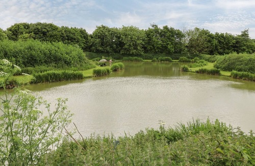 Roos House | SHEPHERDS COTTAGE, pet friendly, with hot tub in Roos
