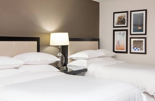 Minnetonka Hotel | Sheraton Minneapolis West Hotel