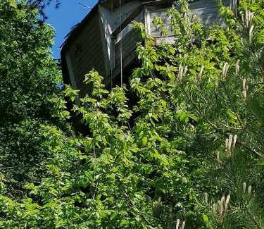 Etretat Bed & Breakfast | SHERWOOD TREE