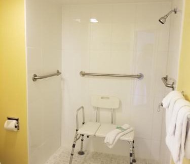 Kissimmee Hotel | Shining Light Inn & Suites