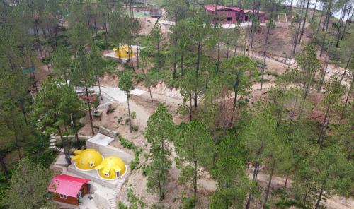 Sirala Resort | Shiv Forest Villas