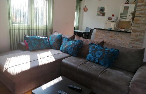 Vozdovac Apartment | Shumice Apartment