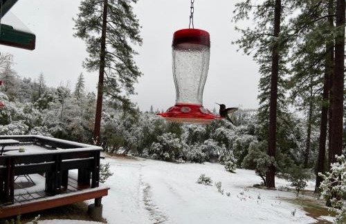 Mariposa House | Sierra Trails Retreat