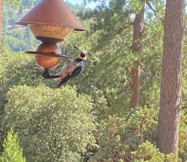 Mariposa House | Sierra Trails Retreat