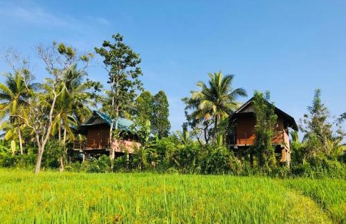 Sigiriya Cabin | Sigiriya Paddy Field Hut