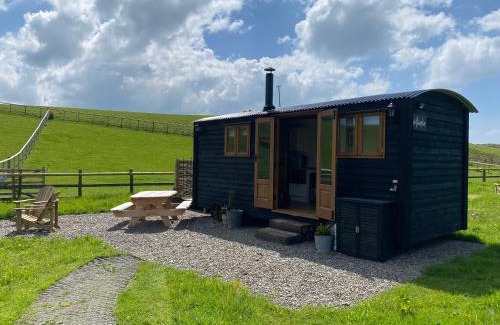 Chancery Other | Silver Fern Glamping