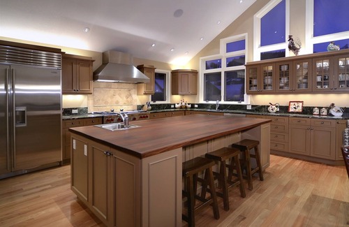 Mount Crested Butte House | Silver Lane/Luxury 5,200 Sq.Ft Home/Walk to Ski Access/Hot Tub/Gourmet Kitchen