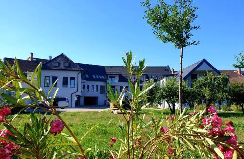Eger Apartment | Silver Lodge Apartments Eger