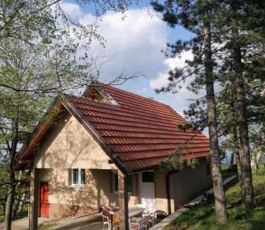 Mionica House | SIMIĆ planinska kuća