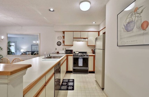 Ludlow Condo | Simple and Clean, Near Slopes - Ski With the Family