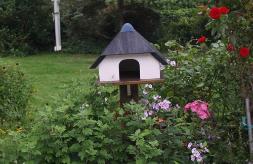 Wenningstedt-Braderup Cottage | Single room with shower /WC 02,03 - Pension Möwennest