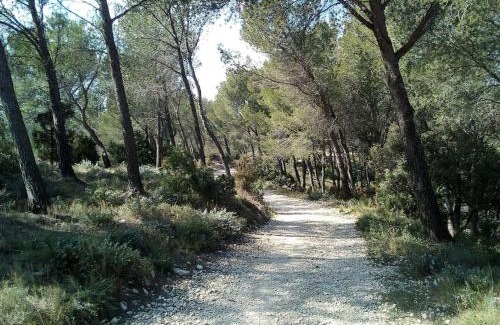 Noves Apartment | Single storey 40m² bordering pine forest and spa