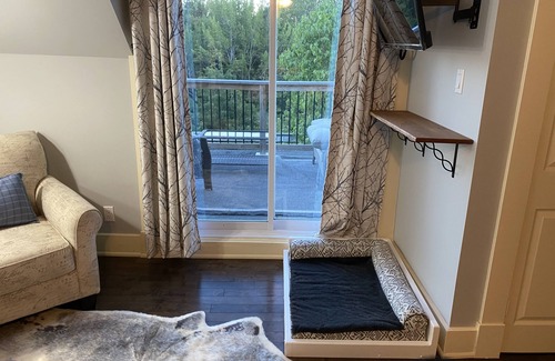 Stoney Creek Bed & Breakfast | Sit & Stay bed and breakfast Where dogs bring their people