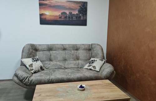 Backa Topola Apartment | Six Windows Apartmani