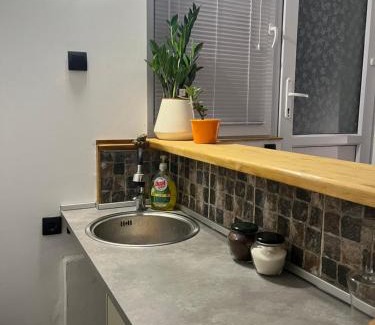 Pancevo Apartment | Skadarska