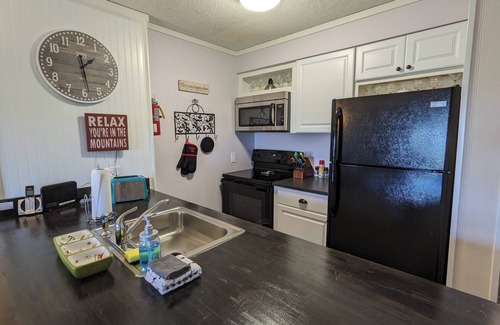 Snowshoe Condo | Ski In/Out 1BR Slopeside Condo at Top of the World, 1 Q bed + 1 Q Sleeper Sofa