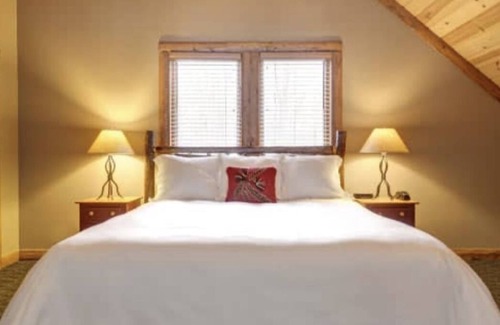 Boyne Falls Cabin | Ski-In, Ski-Out 4 Bedroom Mountain Cabin at Boyne Mountain Resort w/Hot Tub