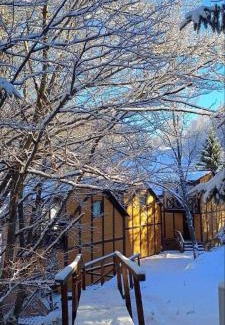 Lisina Apartment | Ski-Lux bungalows
