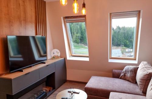 East Sarajevo Apartment | Ski Panorama - Ravna Planina (Pale)