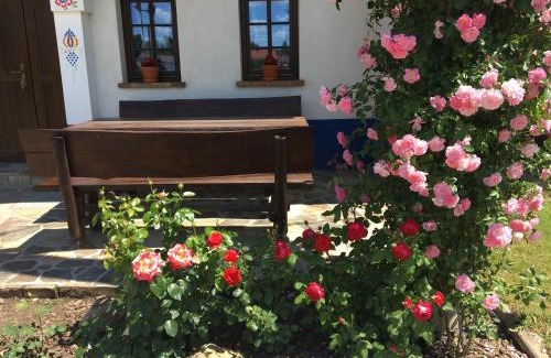 Hovorany House | Sklipek U Tomáša