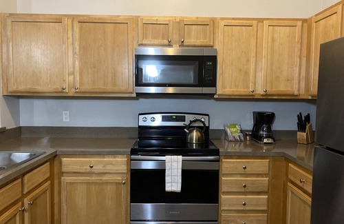 Mile Square Apartment | Skywalk Access, By Lucas Oil Stadium, King Beds, WiFi, Pets Ok