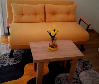 Banja Koviljaca Apartment | Slatkiš Sweet