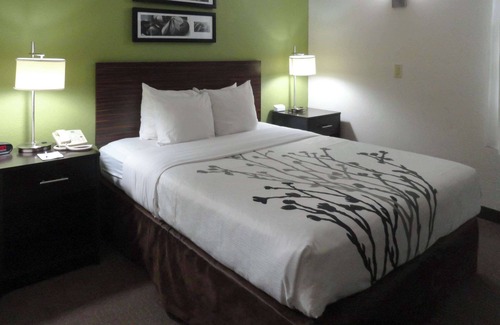 Columbus Hotel | Sleep Inn & Suites Columbus - State University Area