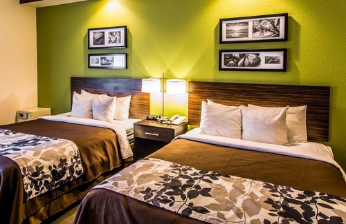 Orlando Hotel | Sleep Inn & Suites Orlando International Airport