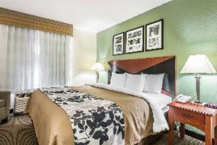 Gainesville Hotel | Sleep Inn & Suites University-Shands