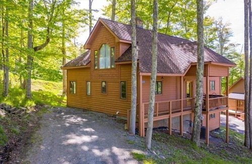 Canaan Valley House | Slopeside on Timberline Mountains, Salamander Trail! Hot Tub, Firepit! NF39